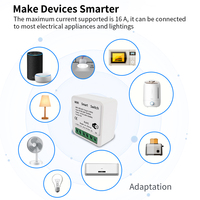 Tuya Smart domu 16A 2-Way WiFi inteligentny przełącznik moduł DIY LED światła zegar sterowanie głosem Homekit dla Alexa Google Alice SmartLife 2